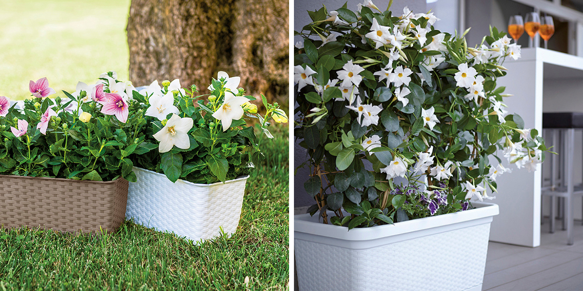 Blog-zavesne-kvetinace-2